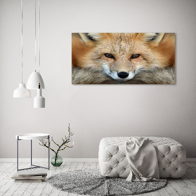 Foto-obraz zdjęcie szkło hartowane Lis