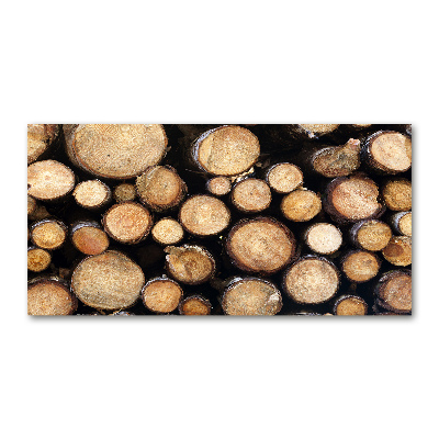 Cuadro de cristal templado moderno horizontal Troncos de madera