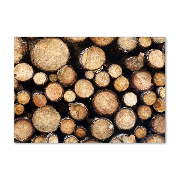 Cuadro de cristal templado moderno horizontal Troncos de madera