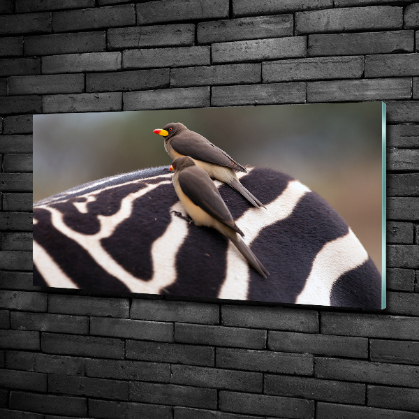 Cuadro de cristal templado moderno horizontal Pájaros y cebras