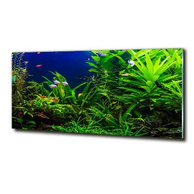 Cuadro decorativo de vidrio para salón horizontal Peces en el acuario