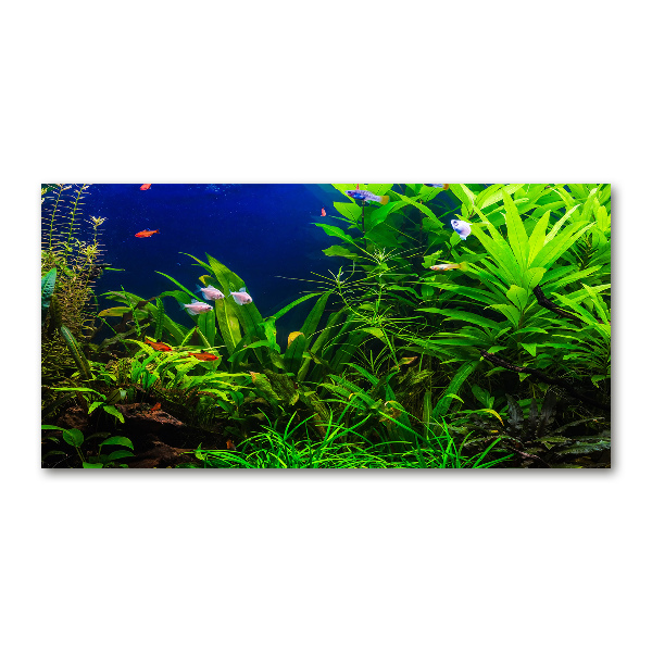 Cuadro decorativo de vidrio para salón horizontal Peces en el acuario