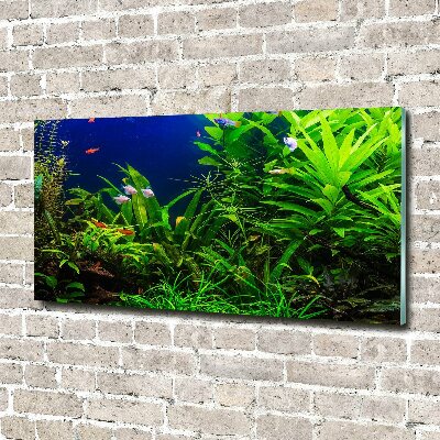 Cuadro decorativo de vidrio para salón horizontal Peces en el acuario