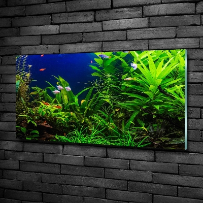Cuadro decorativo de vidrio para salón horizontal Peces en el acuario