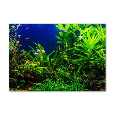 Cuadro decorativo de vidrio para salón horizontal Peces en el acuario
