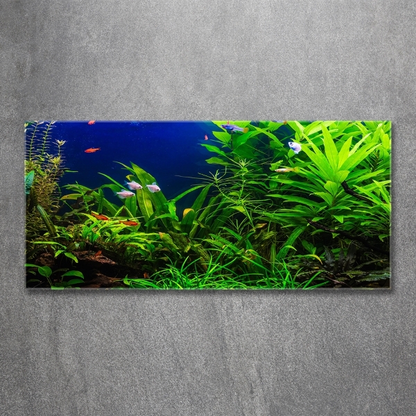 Cuadro decorativo de vidrio para salón horizontal Peces en el acuario