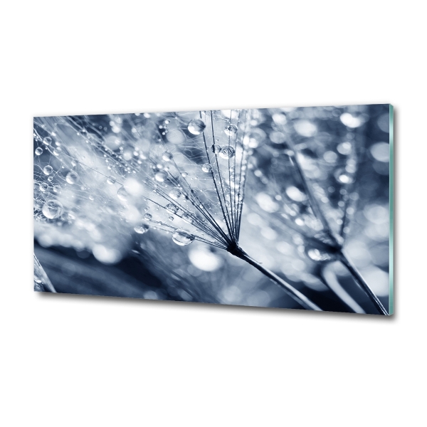 Cuadro decorativo de vidrio para salón horizontal semillas de diente de león