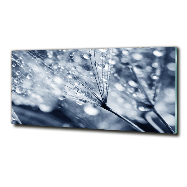 Cuadro decorativo de vidrio para salón horizontal semillas de diente de león