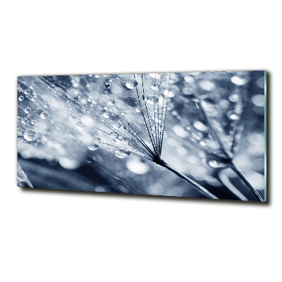 Cuadro decorativo de vidrio para salón horizontal semillas de diente de león