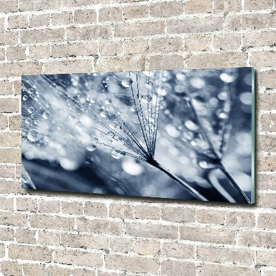 Cuadro decorativo de vidrio para salón horizontal semillas de diente de león