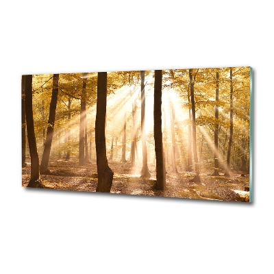 Cuadro decorativo de vidrio para salón horizontal Bosque en otoño