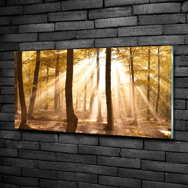 Cuadro decorativo de vidrio para salón horizontal Bosque en otoño