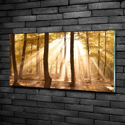 Cuadro decorativo de vidrio para salón horizontal Bosque en otoño