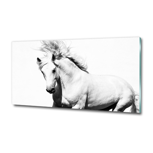 Cuadro decorativo de vidrio para salón horizontal Caballo blanco