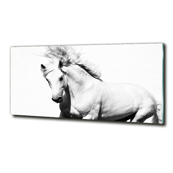 Cuadro decorativo de vidrio para salón horizontal Caballo blanco