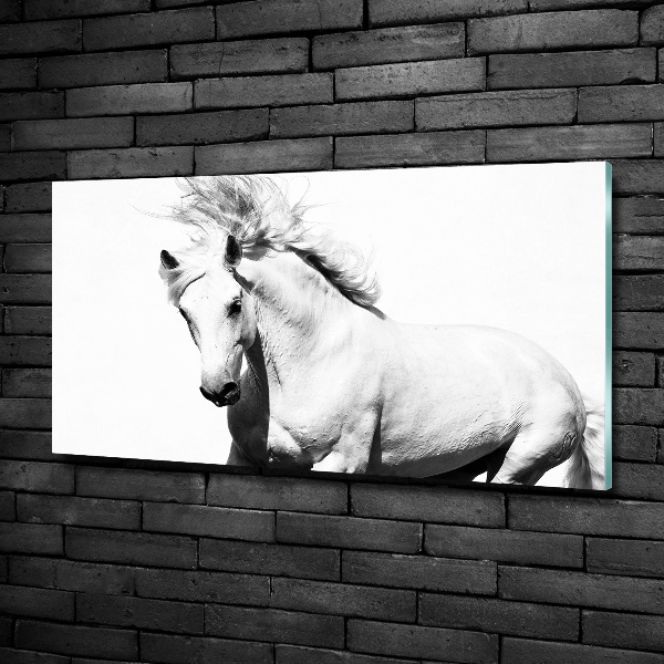 Cuadro decorativo de vidrio para salón horizontal Caballo blanco