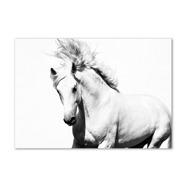 Cuadro decorativo de vidrio para salón horizontal Caballo blanco