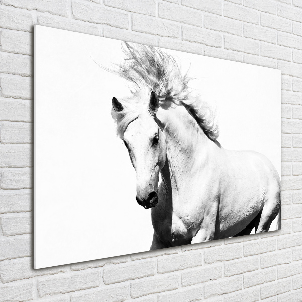 Cuadro decorativo de vidrio para salón horizontal Caballo blanco