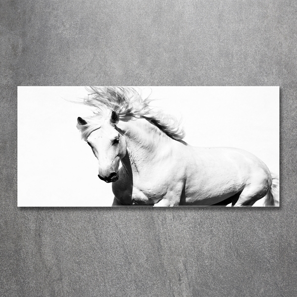 Cuadro decorativo de vidrio para salón horizontal Caballo blanco