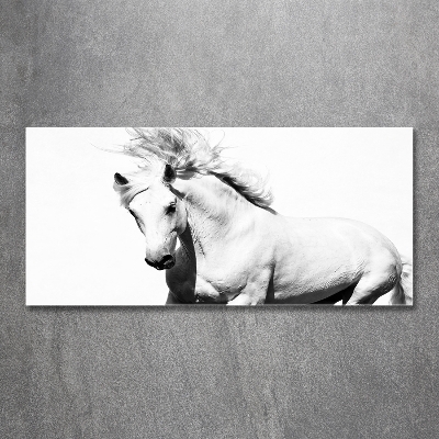 Cuadro decorativo de vidrio para salón horizontal Caballo blanco