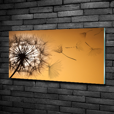 Impresión en cristal con acabado brillante horizontal Diente de león