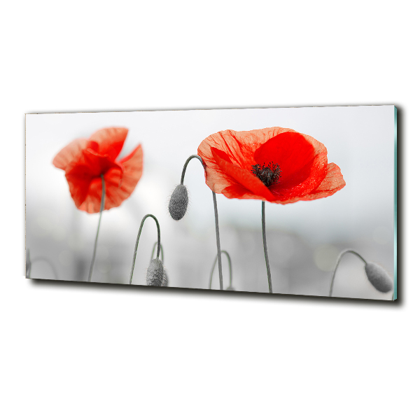 Cuadro decorativo de vidrio para salón horizontal Amapolas