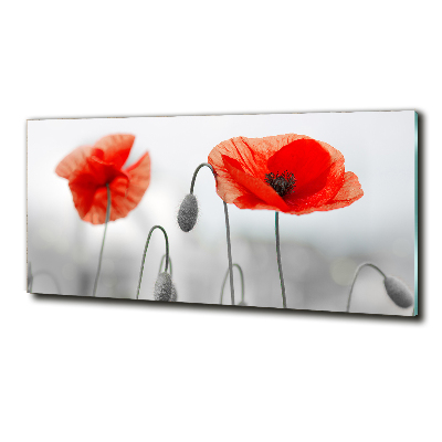 Cuadro decorativo de vidrio para salón horizontal Amapolas