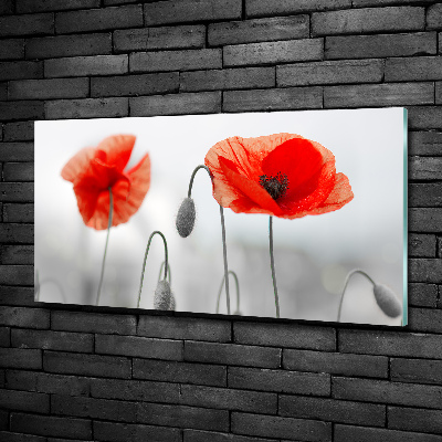 Cuadro decorativo de vidrio para salón horizontal Amapolas