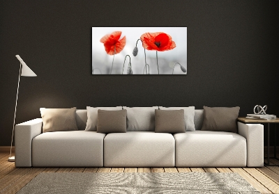 Cuadro decorativo de vidrio para salón horizontal Amapolas