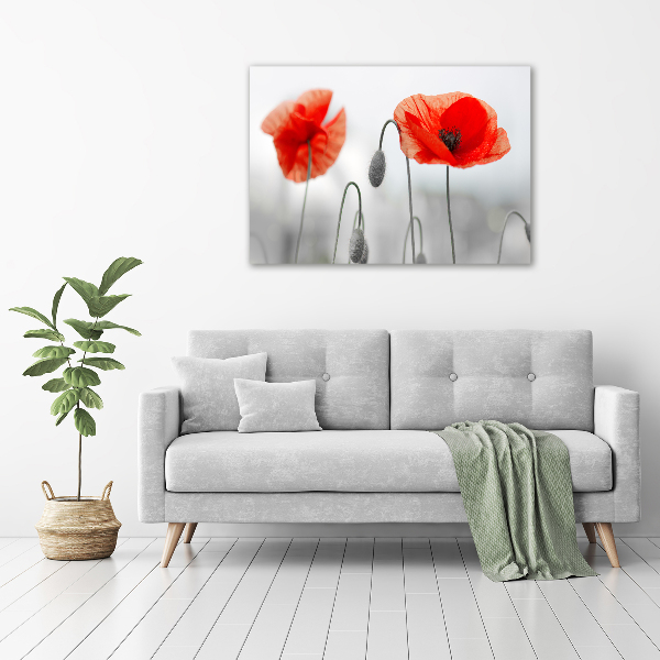 Cuadro decorativo de vidrio para salón horizontal Amapolas