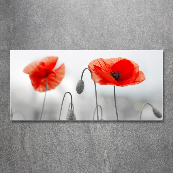 Cuadro decorativo de vidrio para salón horizontal Amapolas