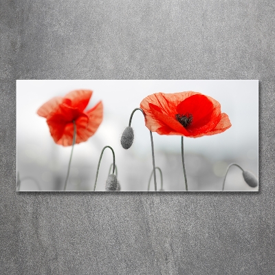 Cuadro decorativo de vidrio para salón horizontal Amapolas