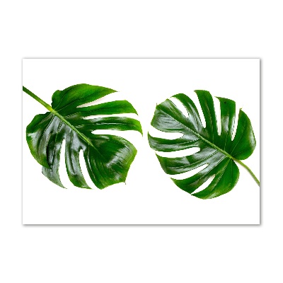 Cuadro decorativo de vidrio para salón horizontal hojas tropicales