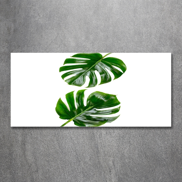 Cuadro decorativo de vidrio para salón horizontal hojas tropicales