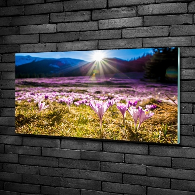 Cuadro de cristal templado moderno horizontal Azafranes en el claro