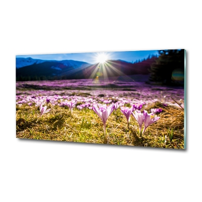 Cuadro de cristal templado moderno horizontal Azafranes en el claro