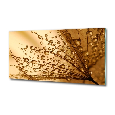 Cuadro decorativo de vidrio para salón horizontal semillas de diente de león