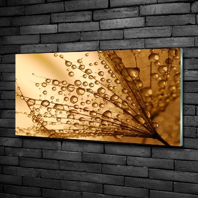 Cuadro decorativo de vidrio para salón horizontal semillas de diente de león