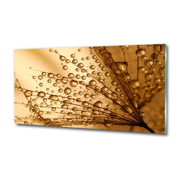 Cuadro decorativo de vidrio para salón horizontal semillas de diente de león