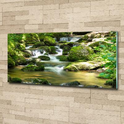 Cuadro decorativo de vidrio para salón horizontal Cascada