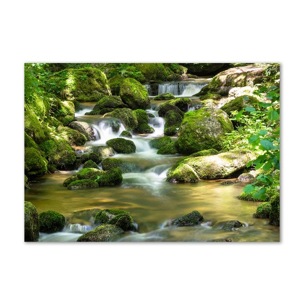 Cuadro decorativo de vidrio para salón horizontal Cascada