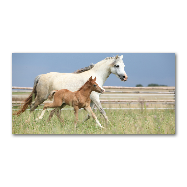 Cuadro decorativo de vidrio para salón horizontal Yegua con potro