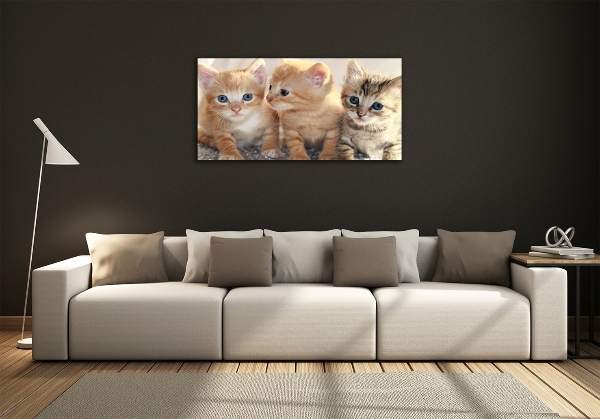 Foto en cristal de alta calidad con impresión uv horizontal Pequeños gatos