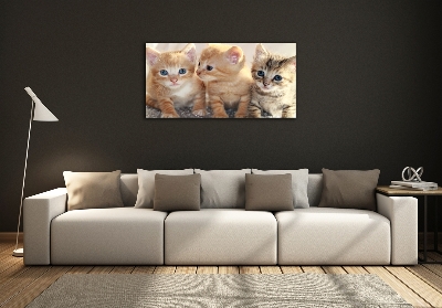 Foto en cristal de alta calidad con impresión uv horizontal Pequeños gatos