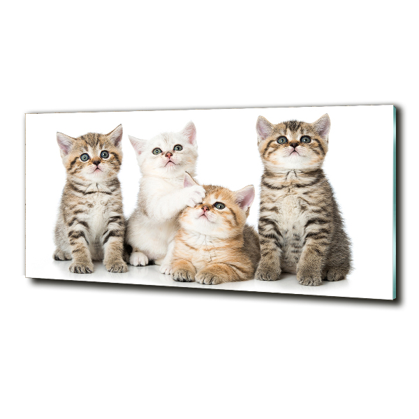 Cuadro decorativo de vidrio para salón horizontal Pequeños gatos