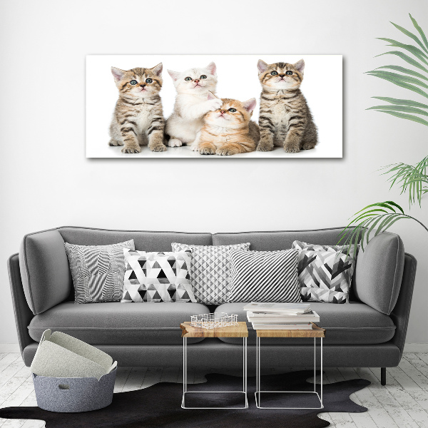 Cuadro decorativo de vidrio para salón horizontal Pequeños gatos