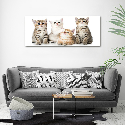 Cuadro decorativo de vidrio para salón horizontal Pequeños gatos