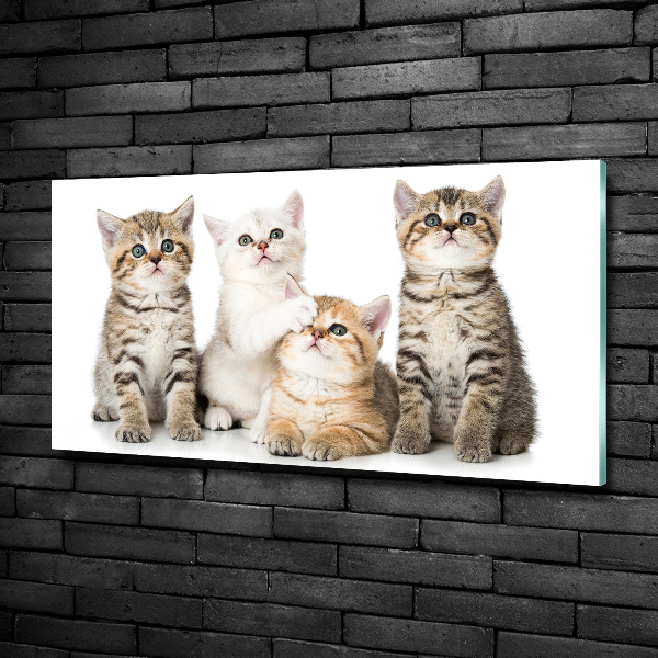 Cuadro decorativo de vidrio para salón horizontal Pequeños gatos