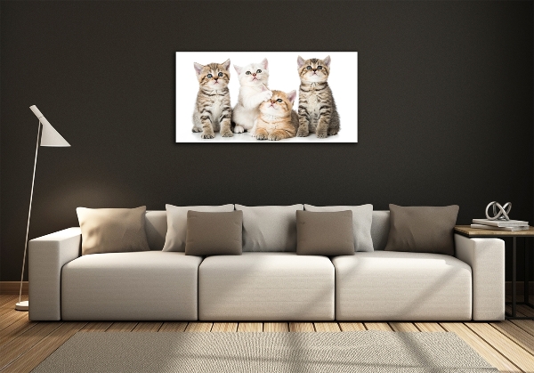 Cuadro decorativo de vidrio para salón horizontal Pequeños gatos