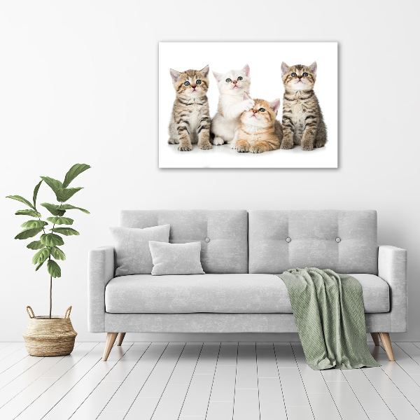 Cuadro decorativo de vidrio para salón horizontal Pequeños gatos